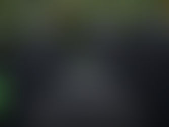 Merry Christmas From Greenshoots Financial