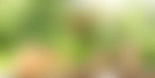 Property Fees Explained