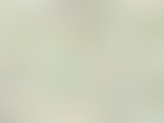 Verzögerung Berlin-Dresden nutzen, zweites Gleis Jüterbog–Falkenberg wiederaufbauen