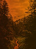 SHAKEN Images Orange GradientArtboard 8.jpg