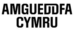 Amgueddfa logo black RGB.jpeg