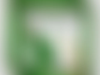 Hot Review! High Heel Shoes Champagne Green Gold Silver Invitation