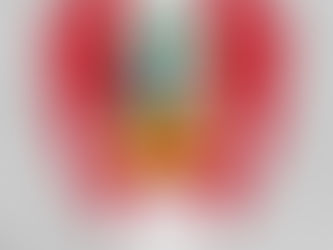 Top 10! Peruvian Flag & Coat of Arms, Flag of Peru Patch