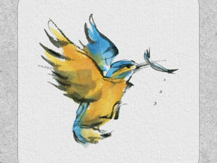 Top 5! Kingfisher Patch