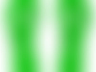 Top 10! Lime Green Flip Flops