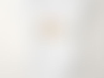 Best Price! Personalized Girl Bunny Woodland Baby Shower Gift Baby Bodysuit