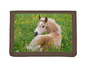 Big Deals! Haflinger Horse Cute Foal Resting in a Flowerbed Trifold Wallet