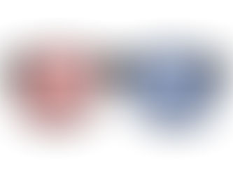 Top 10! American Vote Retro Sunglasses