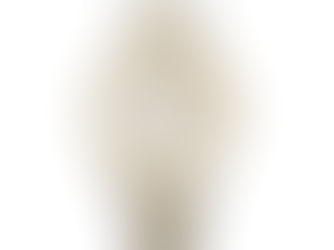 Best Price! TRUMP 2024 WATCH