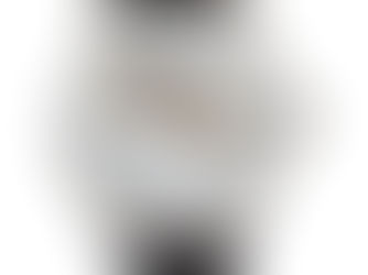 Top 10! Show Jumping Horse Equestrian Watch