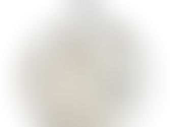 Top 10! American Eskimo Dog Art Silver Plated Necklace