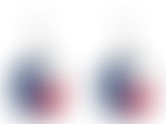 Best Price! Texas Flag: Longhorns, The Texan Lone Star State Earrings