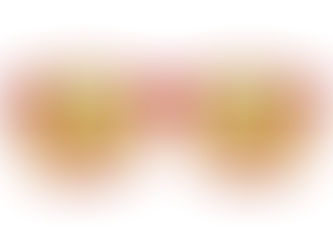 Top 10! French Fries Retro Sunglasses