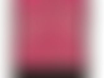 Hot Review! Rose Art Nouveau Rennie Macintosh Graphic Luggage Handle Wrap