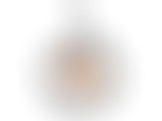 Hot Review! The World's Best Nana Classic Simple Photo Silver Plated Necklace