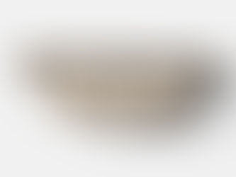 Review German Shepherd Dog Pattern Fanny Pack