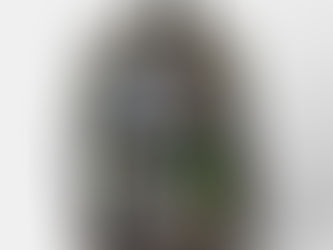 Hot Deals! Custom Two Dog Photo All Over Simple Printed Backpack