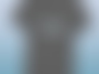 Top 10! Black Tipped Reef Shark T-Shirt