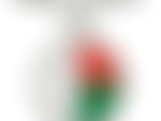 Hot Deals! Madagascar Flag Bracelet