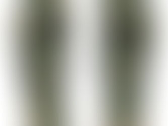 Best Deals! Chic Moody Green Woodland Forest Animals Bear Deer Flip Flops