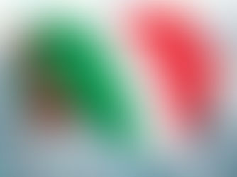 Hot Deals! Italian Flag & business Italy, travel / sports Neck Tie