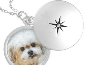 Big Deals! Malshi Dog Locket Necklace