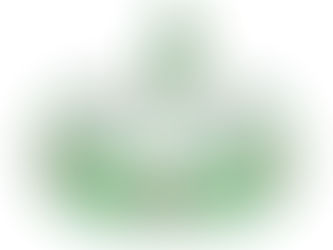 Best Deals! Patriotic Brazil Flag Elastic Hair Tie