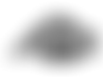 Review girly chic stylish black white zebra print belt