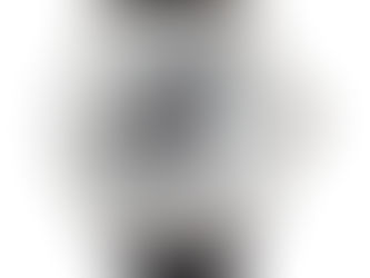 Top 5! Modern Equestrian Thoroughbred Black Horse Watch