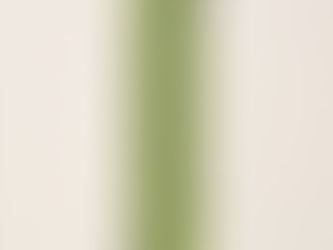 Best Deals! Checkered Lime Green and Black Scarf