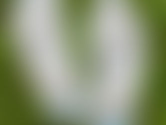 Review Funny Cat and Mouse Neutral Personalized Kid's Flip Flops