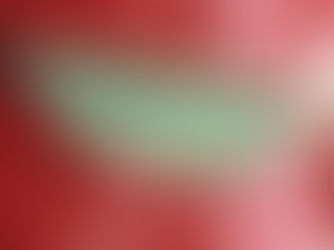 Hot Review! Pink Rose Seamless on Light Green Fanny Pack