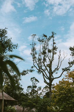 Richmond + Alice| by Knot For Two