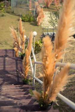 Bernard + Mei Hao | by Knot For Two