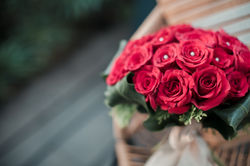 Bryan + Amanda | by Knot For Two