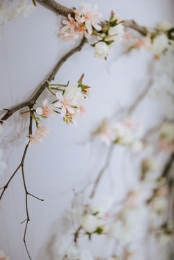 Austin + Jacquelyn | by Knot For Two