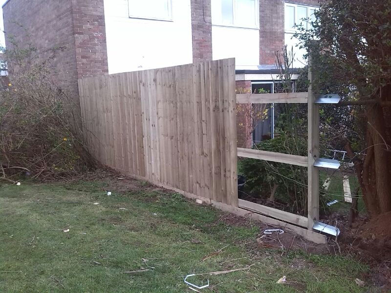 Taking shape