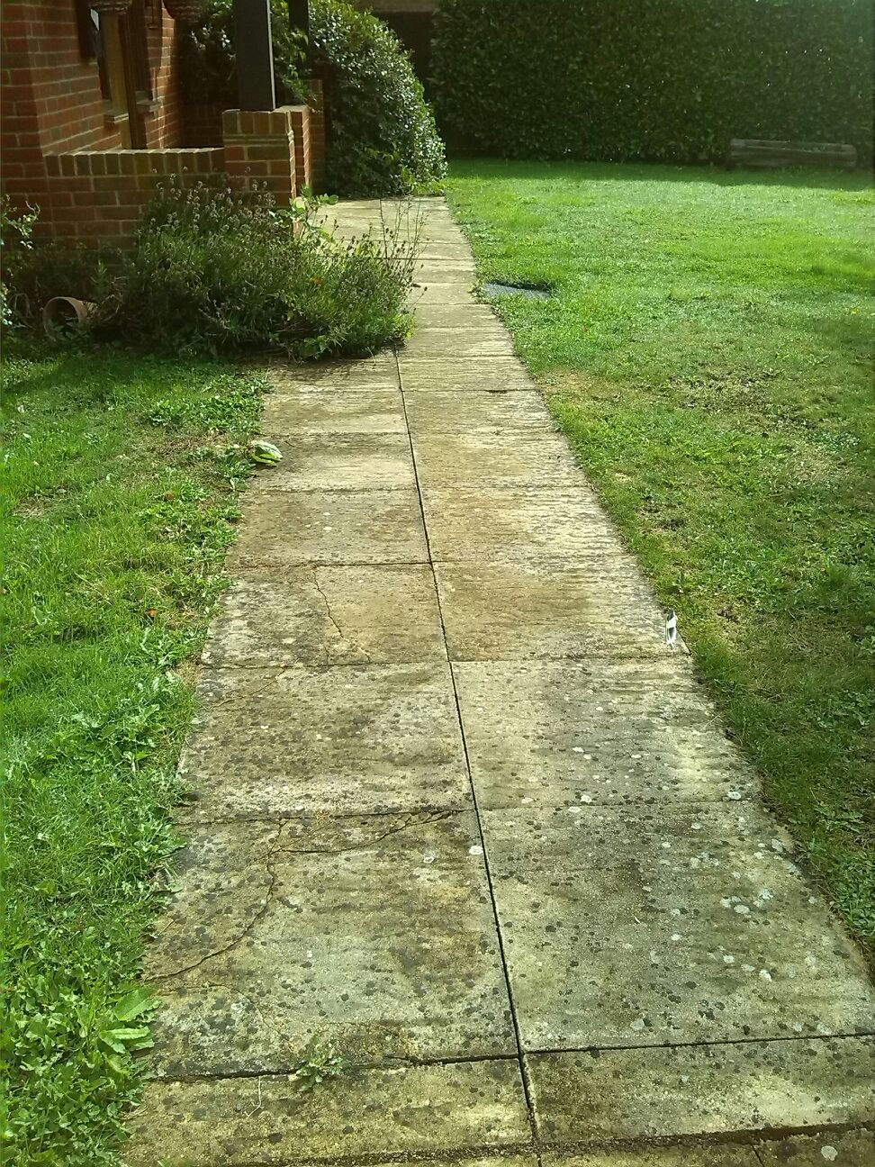 previous path