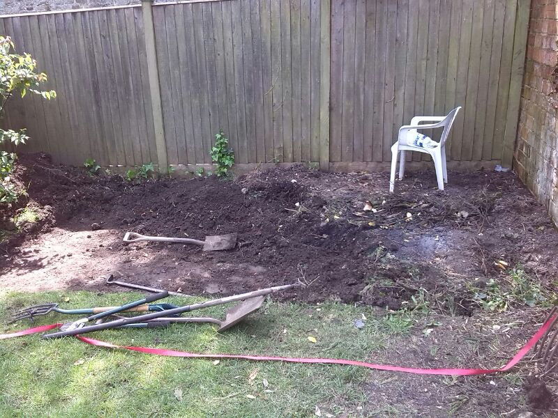 clearing site