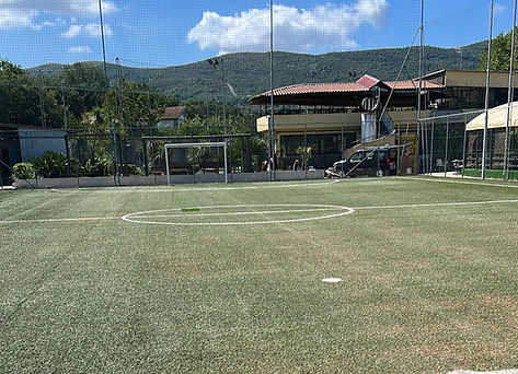 Ner Roller Ball_edited.jpg