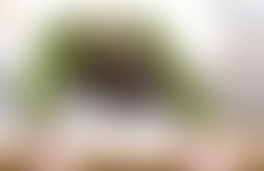 No dejes que una materia te baje el promedio. eduMAC te rescata en el colegio y te lanza directo a la universidad