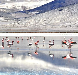 atracciones ccc regiones (34).jpg