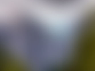 Glaciar colgante, Queulat: Datos esenciales para tu aventura