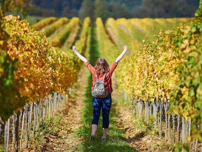 El enoturismo en Chile con Camping Club Chile