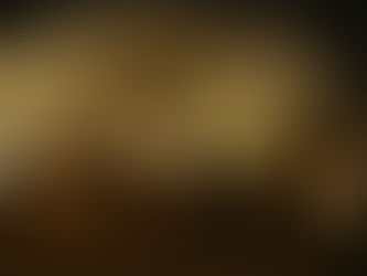 La ruta del vino en Curicó es una aventura para todos los sentidos