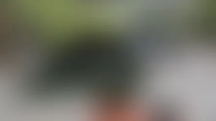 Filosofía Leave No Trace (Sin dejar rastro)