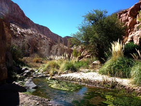 Quebrada de Jerez: El oasis secreto de San Pedro de Atacama