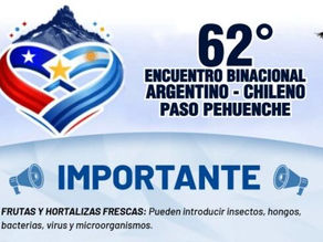 Encuentro Binacional Argentino-Chileno en el Paso Pehuenche