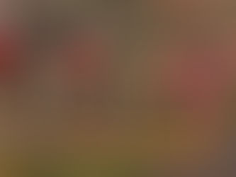 Farellones: Tu aventura de montaña a minutos de Santiago