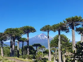 Descubre Cherquenco: Un Pueblo Mágico en La Araucanía